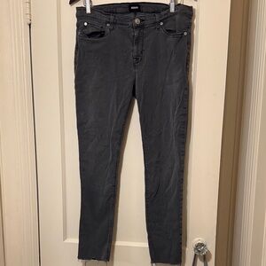 Hudson Jeans Women's Dark Gray Skinny Jeans size 31
